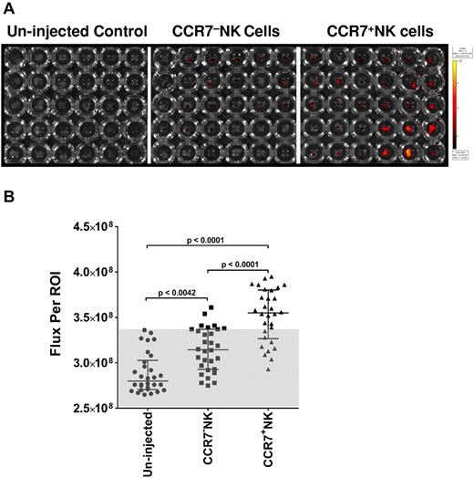Figure 5. Effect of acquired CCR7 on homing of NK cells to peripheral lymph nodes. (A) Xenogen IVIS Spectrum fluorescence image of XenoLight DiR-labeled NK cells that homed to peripheral lymph nodes 24 hours after intravenous administration. Individual lymph nodes resected from either the uninjected group or the group injected with XenoLight DiR-labeled CCR7− or CCR7+ NK cells were placed in a 96-well plate; the columns of the plate represent right and left inguinal, axillary, and superficial cervical lymph nodes; and the rows represent individual animals. (B) Assessment of flux per region of interest drawn around each well that contained a single lymph node. Statistical analysis was performed with a nonparametric Wilcoxon test, and data are presented as median ± interquartile range (n = 30). The gray area depicts the range of flux because of autofluorescence.