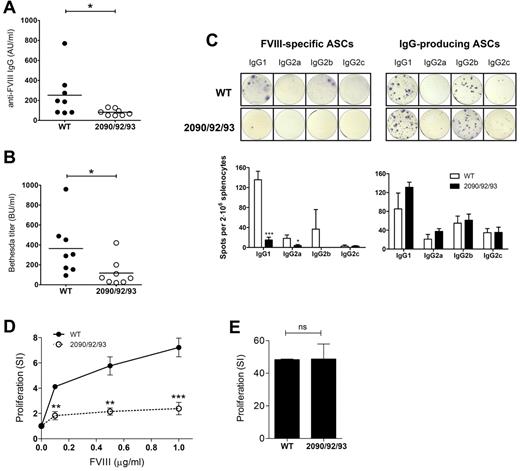Figure 4. Reduction of immune responses on in vivo administration of FVIII-R2090A/K2092A/F2093A in FVIII−/− mice. Hemophilic E17KO mice (n = 8) were injected intravenously 5 times weekly with 1 μg of FVIII WT or FVIII-R2090A/K2092A/F2093A. One week after the last injections, mice were killed, and blood samples were collected. (A-B) Anti-FVIII Ab titers from the plasma samples were evaluated by ELISA (A) and Bethesda assay (B) as described in detail in “Anti-FVIII inhibitory Ab measurements from mouse plasma by ELISA and Bethesda assay.” *P < .05 (nonparametric Mann-Whitney U test). (C) The presence of splenic ASCs producing FVIII-specific Abs was determined by ELISPOT. As a control, IgG-producing ASCs were detected. Representative wells displaying both ASCs types are shown for both groups. Spots were quantified with the AELvis reader and eli.analyze Version 6.0 software. Group injected with FVIII WT is represented by the white bars and group injected with FVIII-R2090A/K2092A/F2093A is represented by the black bars. (D-E) CD8− splenocytes were assayed in a thymidine (3H) incorporation assay. Proliferation was measured after 72 hours, and thymidine was added for the last 18-20 hours. Results are shown as stimulation index (SI) from triplicate wells (mean ± SD) for both FVIII-specific (D) and nonspecific (E) proliferation. Mice injected with FVIII WT (●), group injected with FVIII-R2090A/K2092A/F2093A (○). WT indicates wild-type FVIII; and 2090/92/93, FVIII-R2090A/K2092A/F2093A.