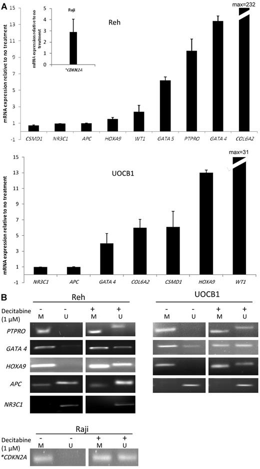 Figure 4. Decitabine treatment of ALL cell lines shows reexpression of hypermethylated genes at relapse. (A) Real-time PCR was performed on Reh, UOCB1 (B-lineage), and Raji (lymphoma) cells treated with decitabine at a 1μM concentration for 48 hours (Reh and Raji) or 72 hours (UOCB1). Results are expressed relative to the levels observed at baseline without decitabine exposure. Each experiment was performed in triplicate. Error bars represent SD. (B) Determination of concordant changes in promoter methylation levels by MSP in Reh and UOCB1 cell lines. *CDKN2A mRNA expression levels and MSP were performed in Raji cells only.