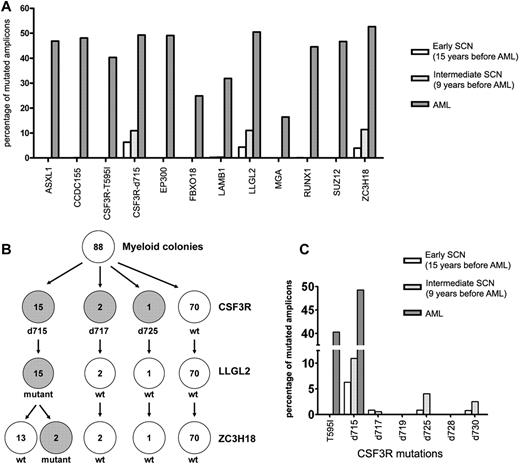 Figure 2. Acquisition of mutations in the evolution of SCN to AML. (A) The 12 somatic nonsynonymous mutations identified in the leukemic blasts were analyzed in the SCN phase using amplicon-based deep sequencing. The percentage of mutated amplicons per mutation is shown. Based on their frequencies in the AML population, all mutations are considered to be heterozygous, implying that the number of cells carrying the mutations is estimated to be twice the number of mutated amplicons. (B) Single myeloid colonies grown from the BM sample obtained 15 years before leukemia development were analyzed for the presence of mutations in CSF3R, LLGL2, and ZC3H18 (see supplemental Table 5 for more information). (C) The presence of different CSF3R mutations in the BM obtained 15 and 9 years before leukemia development and in the leukemic phase was investigated by amplicon-based deep sequencing. The percentage of mutated amplicons per mutation is shown. T595I indicates the CSF3R mutation T595I; d715-d730, CSF3Rδ mutations at amino acid positions 715-730.