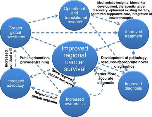 Figure 2. A conceptual framework to improve survival among patients with hematologic malignancies in sub-Saharan Africa.