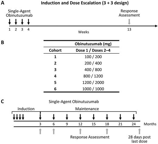Figure 1. Study design. (A) Cohorts of 3 to 6 patients received intravenous (IV) infusions of obinutuzumab weekly for 4 weeks, with tumor assessment at week 13. (B) Cohort doses were escalated in a standard 3 + 3 design up to 2000 mg or until the MTD was reached. For each cohort, the first infusion was ∼ 50% to 60% of the cohort dose. (C) Patients who had a complete or partial response (or stable disease and clinical benefit) were eligible to enter a 2-year maintenance therapy regimen of single-agent obinutuzumab once every 3 months, for a maximum of 8 infusions, beginning 3 months after the last induction infusion. The first administration of maintenance therapy was initiated 3 months after the last infusion of induction obinutuzumab.