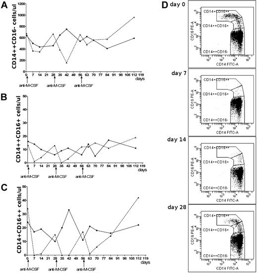 Figure 1. Particular monocyte subpopulations after anti–M-CSF mAb infusions. Changes in the absolute number of circulating classical (A), intermediate (B), and nonclassical (C) monocytes after infusions of anti–M-CSF mAbs (dashed line) or placebo (solid line). (D) The dot plots show changes of the monocyte subpopulations during the first 4 weeks after initial anti–M-CSF mAb infusion in female patient; lack of nonclassical monocytes on day 7, very low number on day 14, and growing number of intermediate monocytes on days 7-28.