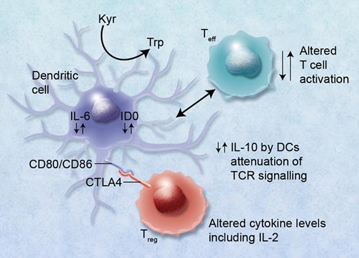 Alterations in cytokine levels including IL-10, IL-6, and IL-2 via immunoregulatory single nucleotide polymorphisms (SNPs) can lead to altered immunoregulatory function of regulatory T (Treg) and effector T (Teff) cells. Binding of CTLA4 with its receptor (possibly also via functional SNPs) with CD80/CD86, B7, proteins on dendritic cells can lead to induction of indolamine 2,3 dioxygenase (IDO) and the catabolism of tryptophan into proapoptotic metabolites causing immunosuppression of Teffs. Altered binding of CTLA4 conversely may lead to reduced immunosuppression via Tregs and GVHD. High IL-6 levels induced in DCs by Treg interaction can also cause alteration of Tregs to Th17 cells and may lead to or exacerbate GVHD. Professional illustration by Alice Y. Chen.