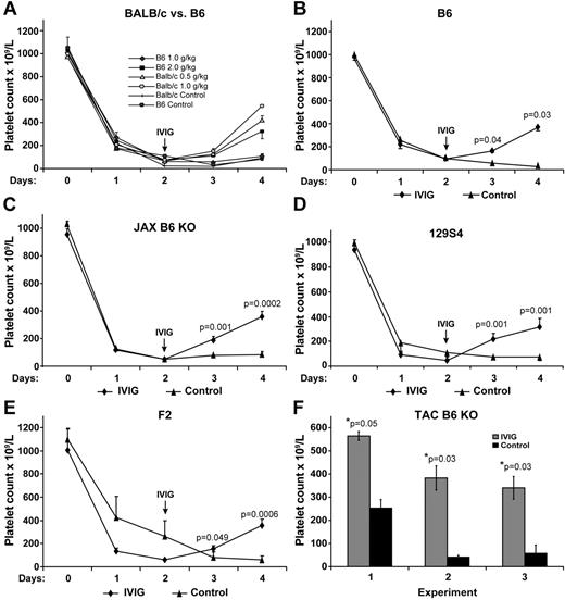 Figure 2. Response to IVIG treatment is strain background and dosage dependent and FcγRIIB independent. (A) Two- to 4-fold more IVIG is required for IVIG amelioration of ITP in B6 mice (n = 5 per group) compared with Balb/c mice (n = 6 in each group). (B) IVIG (2.5 g/kg) ameliorates ITP in wild-type B6 mice (n = 10). (C) IVIG (2.5 g/kg) ameliorates ITP using non-fully congenic JAX B6 KO mice (n = 9). (D) IVIG (2.5 g/kg) ameliorates ITP using 129S4 mice (n = 4). (E) IVIG (2.5 g/kg) ameliorates ITP using recommended control F2 wild-type mice (n = 7). Results represent the mean ± SEM. (F) IVIG (2.5 g/kg) ameliorates ITP using fully congenic TAC B6 KO mice. Three independent experiments are shown and indicate a 2.2-, 9.75-, and 6.6-fold, respectively, increase in the platelet count at day 2 after IVIG treatment when the platelet count was at nadir. Data are the mean ± SEM for n = 3, 4, and 5, respectively.