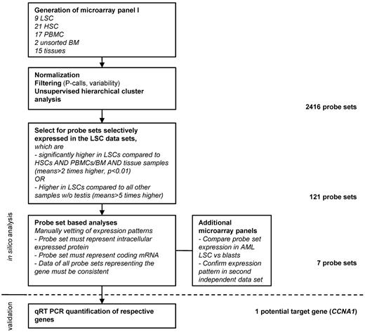 Figure 1. Systematic approach to identify potential target genes in AML LSCs based on 3′IVT expression microarray data. The microarray panel was created combining data files from 5 independent studies. Datasets were filtered for present calls in more than 10% of the samples and overall variability (reject probe sets with an SD/mean < 2). Hierarchical cluster analysis was performed to confirm clustering in accordance to sample biology. Target candidates were identified by mathematical filtering followed by visual inspection of the respective expression patterns. Targeted sequences of the probe sets were then analyzed to make sure that they actually represented a coding mRNA sequence. In case of several probe sets representing the same gene, expression patterns of all probe sets were inspected for consistency. Finally, target candidates, which were known to be membrane bound or secreted, were rejected.