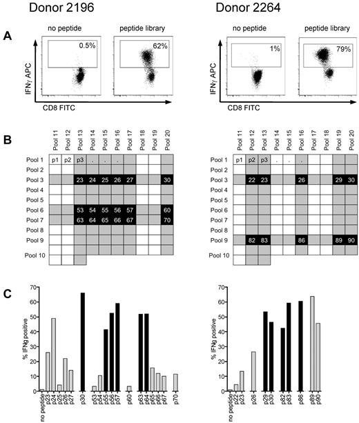 Figure 3. Reverse immunology strategy for epitope mapping in cyclin-A1 using ICS for IFN-γ. (A) After 4 stimulations with the peptide library, T-cell lines from both donors consisted of more than 60% specific cells (gated on CD8+ cells). (B) The cell lines were subsequently tested against 20 peptide pools with each 15-mer being represented in 2 different pools in the peptide matrix. Shaded rows/columns indicate pools with more than 10% IFN-γ-positive cells from each donor. (C) Peptides, which tested positive in both of its pools (> 10% specificity, marked black), were further analyzed as individual peptides. Black columns represent the peptides for which the minimal immunogenic AA sequence from the initial 15-mer was determined.