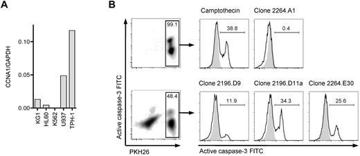 Figure 5. T-cell clones recognize endogenous processed epitopes 227-235 and 341-351. (A) Expression of cyclin-A1 in several myeloid cell lines quantified by quantitative RT-PCR. (B) Clones 2196.D9 and D11a (both specific for epitope 227-235) and clone 2264.E30 (specific for epitope 341-351) were tested for apoptosis induction in the THP-1 cell line using a caspase-3 assay. As negative controls, targets alone (shaded) and clone 2264.A1 specific for epitope 118-127 (HLA B*4001 restricted, THP-1 is B*4001-negative) were used. As a positive control, targets were incubated with 4μM camptothecin. The histograms correspond to the gates on the PKH26-prelabeled target cells.