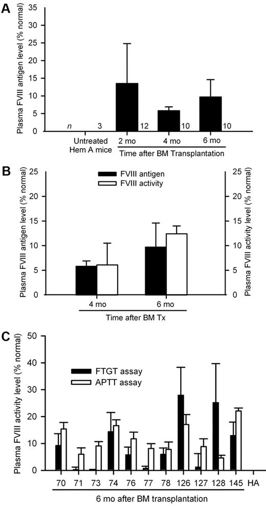 Figure 3. FVIII replacement after BM transplantation. (A) Plasma FVIII antigen levels in groups of hemophilia A mice 2, 4, and 6 months after transplantation of 2 × 106 BM cells from GFP transgenic donors. (B) Correlation between plasma FVIII antigen and FVIII activity (FTGT) levels in hemophilia mice 4 and 6 months after transplantation of 10 × 106 BM cells, where both datasets were available for comparison. (C) Verification of plasma FVIII activity by aPTT in selected mouse plasma samples positive with FTGT assays 6 months after BM transplants. Mouse plasma FVIII activity and antigen level of 100% represented 1.02 IU/mL (FTGT), 1.04 IU/mL (aPTT), and 0.86 IU/mL (FVIII antigen assay) of human FVIII standard.
