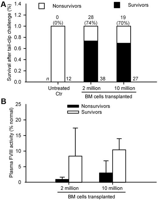 Figure 4. Tail-clip assay in hemophilia A mice after BM transplantation. (A) Cumulative survival after tail-clip in control untreated mice and mice after transplantation of 2 × 106 or 10 × 106 BM cells. Animals were studied between 8 weeks to 52 weeks after BM transplantation. Total animal numbers are given at bottom and number of surviving mice with percentage survival is at top of bars. Only the difference in survival between untreated controls versus animals in the 2 treatment groups was significant (P < .0001; Fisher exact test). (B) Plasma FVIII activity in mice surviving was greater than mice not surviving after tail-clip assay in both groups (P < .001; t test). Mouse plasma FVIII activity of 100% represented 1.02 IU/mL of human FVIII standard.