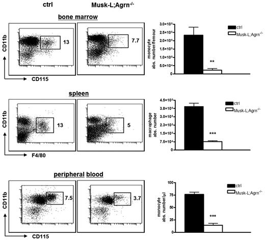 Figure 2. Reduced frequency and numbers of monocytic cells in Musk-L;Agrn−/− mice. Representative flow cytometric analyses and absolute numbers of monocytic cells in control and Musk-L;Agrn−/− mice. Values in dot plots represent the percentage among CD45+ cells (ctrl, n = 10; Musk-L;Agrn−/−, n = 10; **P ≤ .01, ***P ≤ .0001; error bars represent SEM).