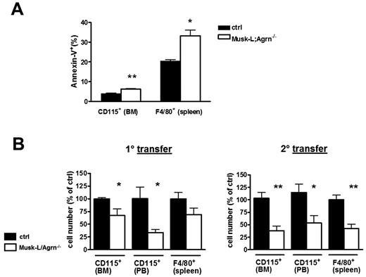 Figure 4. Cell-autonomous requirement for agrin in myeloid cell development. (A) Annexin V analysis on monocytes and macrophages of donor origin determined 9 weeks after BM transfer (ctrl, n = 4; Musk-L;Agrn−/−, n = 4). (B) Analyses of donor monocytic cells in BM, PB, and spleen 9 weeks after BM transfer (n = 4), and after a second serial (9 weeks plus 9 weeks) BM transfer (n = 6). In all panels, error bars represent SEM and *P ≤ .05, **P ≤ .01.