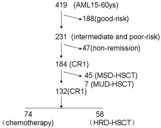 Figure 1. Overview of patients included in the analysis by risk classification, HLA typing, and donor availability. AML indicates acute myeloid leukemia; CR, complete remission; HSCT, hematopoietic stem-cell transplantation. HRD, haploidentical related donor; MSD, matched sibling donor; and MUD, matched unrelated donor.
