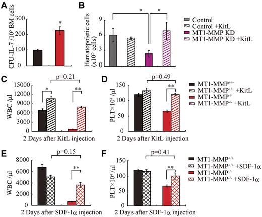 Figure 6. MT1-MMP–deficient mice have a defective BM stromal niche with impaired terminal differentiation because of impaired release of HIF-1α–associated factors. (A) Number of colonies in IL-7–containing cultures of MT1-MMP+/+ and MT1-MMP−/− BM cells (n = 3). (B) Coculture of wild-type Lin− BM GFP+ cells on confluent MT1-MMP knockdown or control MS-5 cells with/without KitL. (C-D) PB WBCs (C) and PLT (D) after KitL injections into MT1-MMP+/+ (n ≥ 10) and MT1-MMP−/− mice (n = 3). (E-F) PB WBCs (E) and PLT (F) counts 2 days after initiation of SDF-1 treatment of MT1-MMP+/+ (n ≥ 10) and MT1-MMP−/− mice (n = 2). Errors in bar graphs are SEM; *P < .05, **P < .01.