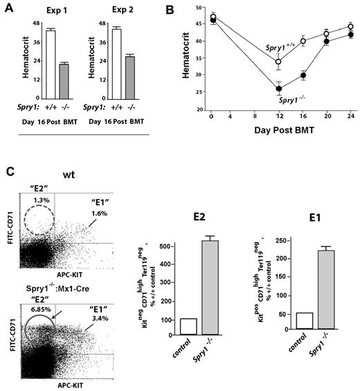 Figure 4. Spry1-null hematopoietic progenitors fail to efficiently repopulate the erythron during short-term bone marrow transplantation. (A) Bone marrow cells from conditional Spry1-null mice, or wild-type controls, were transplanted to irradiated congenic recipients. At day 16, rebound hematocrits were determined. Values are mean ± SE (n = 4). Results of 2 independent experiments are illustrated. (B) Time course of erythron repopulation after short-term bone marrow transplantation of wild-type recipients as transplanted with control versus Spry1-null donor bone marrow cells. Graphed values are mean hematocrits (± SE) for n = 4 mice per time point. (C) Elevated stage E2 and E1 proerythroblast levels in mice transplanted with Spry1-null donor cells. In transplanted mice, analyses of erythroid progenitors in spleen revealed multifold increases in frequencies of Spry1- null donor-derived stage E2 proerythroblasts. Bottom panels: representative primary flow cytometry data. Bottom panel: composite data are graphed: mean ± SE (n = 4).