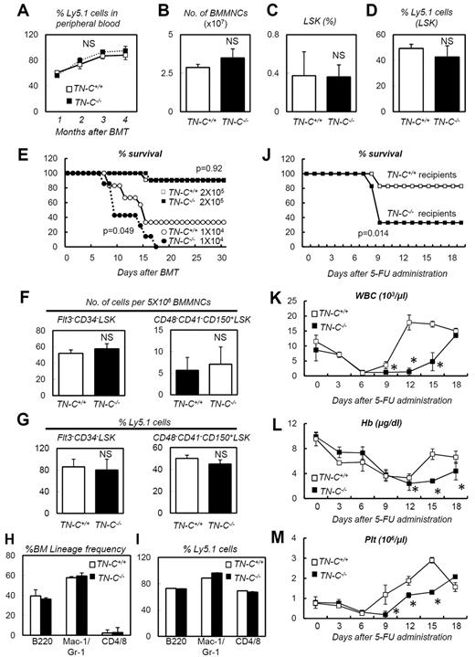 Figure 5. TN-C−/− mice are vulnerable recipients for BMT. (A) Peripheral blood chimerism analyses of recipient mice infused with 2 × 105 donor cells from TN-C+/+ or TN-C−/− mice (n = 10). (B-D) BMMNC count (B), LSK cell frequency (C), and LSK cell chimerism (D) of recipient mice 4 months after transplantation with 2 × 105 donor cells from TN-C+/+ and TN-C−/− mice (n = 4). (E) Survival curves for TN-C+/+ and TN-C−/− recipient mice infused with 2 × 105 cells (white and black boxes, respectively) or 1 × 104 cells (white and black circles, respectively; n > 10 for each group; combination of 3 independent experiments). (F-G) Flow cytometric analysis of the BM in TN-C+/+ or TN-C−/− recipient mice 4 months after BMT (2 × 105 cells) showing the frequency and chimerism of Flt3−CD34− LSK cells and CD48−CD41−CD150+ LSK cells (n = 4). (H-I) BM lineage composition (H) and chimerism (I) of cells within each lineage in the BM of TN-C+/+ or TN-C−/− recipient mice 4 months after BMT (2 × 105 cells; n = 4). (J) Survival curves for TN-C+/+ and TN-C−/− recipient mice challenged with 5-FU 4 months after BMT (2 × 105 cells; n = 10; combination of 3 independent experiments). (K-M) Peripheral blood counts of mice shown in panel J (n = 10). *P < .05.