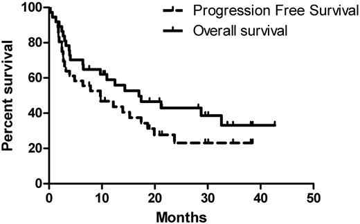 Figure 2. Progression-free and overall survival for all patients. The median progression-free survival was 10 months and the median overall survival was 17 months. Seven patients (19%) died within the first 3 months after initiation of therapy; all patients who died early had significant cardiac involvement.