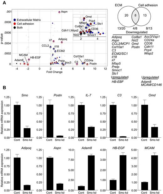 Figure 7. Altered expression of factors promoting B lymphopoiesis and osteoblastoid differentiation in Smo-depleted OP9 cells. (A) Volcano plot (left) and Venn diagram (right) of differentially expressed and functionally clustered transcripts in Smo-depleted OP9 cells. In the volcano plot, statistical significance (determined by 1-way ANOVA) is graphed as a function of the fold change (control/Smo-depleted). Transcripts with known roles in hematopoiesis, osteoblastoid differentiation, or both are designated on the Volcano plot and identified in the Venn diagram. Transcripts encoding ECM proteins or cell adhesion proteins are designated by blue and red dots, respectively. Black dots represent transcripts encoding proteins that fall into both functional categories. Red circles designate transcripts with changes in expression verified by quantitative RT-PCR. Transcripts corresponding to each functional set are listed. (B) Validation of array results. Indicated transcripts in control or Smo-depleted (Smo kd) cells were quantified by RT-PCR and amounts were normalized to Actb. Normalized values for Smo-depleted cells are expressed relative to the corresponding values for control cells (mean and SD, n = 3).