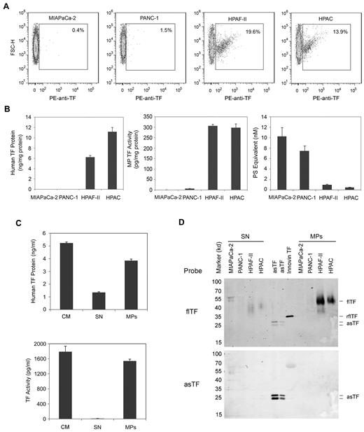 Figure 2. Levels of TF expression in the culture medium of human pancreatic cell lines. Confluent cells were serum starved overnight and medium was prepared by centrifugation at 500g for 5 minutes and 1500g for 15 minutes. Levels of TF-positive MPs were determined by flow cytometry using a PE-labeled HTF-1 Ab (A). Levels of human TF protein were measured using a TF ELISA (B-C). Levels of TF activity on the MPs were measured using the MP TF activity assay (B-C). PS-positive MPs were measured using the Zymuphen MP-activity kit (B). All data are shown as means ± SD (n = 4). In panel C, the levels of TF protein and TF activity in the culture medium (CM), MPs, and MP-free supernatant (SN) were measured. The culture medium was centrifuged at 100 000g for 1 hour to pellet the MPs. Proteins in the SN were precipitated with ammonium sulfate. TF was detected by Western blot using specific Abs against flTF or asTF. Recombinant flTF (Innovin TF) and recombinant asTF were used as controls.