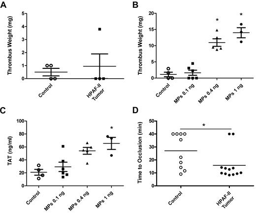 Figure 6. Thrombosis in mice bearing HPAF-II tumors. IVC stenosis in control mice (n = 4) or tumor-bearing mice (n = 4) was induced. Three hours after the ligation, all mice were euthanized and the weight of the thrombus (in milligrams) was determined (A). IVC stenosis in control nude mice was performed. These mice were injected with PBS or the indicated doses (0.1, 0.4, and 1 ng of TF activity) of exogenous HPAF-II MPs twice at 15 minutes and 1 hour after the ligation. Blood was collected from the IVC just above the ligation site 3 hours after the ligation. Thrombus weight (B) and TAT levels (C) were measured. Saphenous vein thrombosis was induced by 10% FeCl3 in control (n = 10) and HPAF-II tumor-bearing mice (n = 12; D). Occlusion times were measured and are shown as dot plots with means. *P < .05.