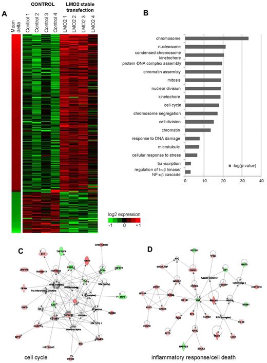 Figure 1. Genes differentially expressed between control and stably LMO2-transfected cell lines. (A) Three hundred eleven unique genes differentially expressed (5% FDR equivalent) between control cell lines, and cell lines that were stably transfected by LMO2. Shown are the log2 expression values, along with the mean change in expression between control and transfected lines. (B) Significant GO terms (P < .05) associated with genes shown in panel A. (C-D) Network analysis of genes regulated by LMO2 transfection. IPA was used to visualize significant networks of interactions between genes identified as differentially expressed in LMO2 stable transfection experiments. Corresponding to the GO enrichments (B), networks involved in cell cycle/proliferation (C), and inflammatory response/regulation of cell death (D) were significant by IPA analysis.