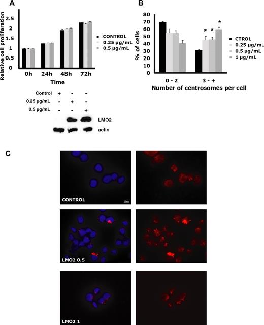 Figure 2. LMO2 effects on cell proliferation, and centrosome number. OCILy1 cells transduced with doxycycline inducible LMO2 lentivirus were left un-induced or were exposed to the indicated concentrations of doxycycline for specified time periods. (A) Proliferation analyzed by an MTS assay. Results are shown as the means ± SD and are representative of 3 independent experiments. Western blot confirms dose-dependent induction of LMO2 protein at 24 hours after addition of doxycycline. (B) The cells were spun down on slides, fixed and permeabilized as described in “Centrosome quantification,” and stained with γ-tubulin antibody and DAPI. Centrosome number was counted in at least 100 cells per experiment and percentage of cells with 2 or less, and 3 or more centrosomes per cell is shown. The presented results represent the average from 3 independent experiments (*P < .001 compared with control). (C) Examples of immunofluorescence centrosome staining visualized with a Zeiss Apotome microscope with 63×/1.4 NA plan apochromat objective lens, using software AxioVision LE. For details see “Centrosome quantification.”