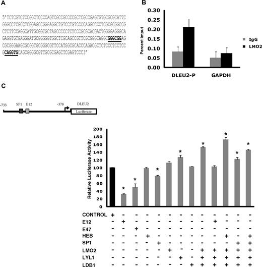Figure 4. A complex containing LMO2, Lyl1, LDB1, SP1, and HEB or E2A activates the DLEU2 promoter. (A) DLEU2 promoter sequence from position −733 to −378 that contains an SP1 and an E2A binding sites. The E-box and GC-box are indicated in bold and underlined. (B) LMO2 protein indirectly associates with the DLEU2 promoter in vivo. Chromatin extracts from the OCILy1 cell line induced to express LMO2 protein were subjected to immunoprecipitation with FLAG (LMO2) and GAPDH antibodies and control IgG. Enriched DNA fragments were quantified by real-time PCR using. The GAPDH gene was used as a negative control. The fold enrichment was expressed as the percentage of input. Results are representative of 3 independent experiments. (C) DLEU2 promoter region (A) was cloned in a pGL3 plasmid. Raji cells were transfected with the DLEU2 Luciferase promoter (10 μg), internal control plasmid pRLTK (10 ng), indicated expression vectors (E12, E47, HEB, SP1, LMO2, Lyl1, LDB1, 2 μg each) and control pCDNA3.1 plasmid that was used to keep constant the total amount of transfected DNA. Luciferase activity was determined 48 hours after transfection. The values are relative luciferase activities, with the average value obtained for the same amount of reporter and pcDNA3.1 control plasmid set at 1. Values are means + SE of 3 independent experiments, each performed in 3 replicate samples.
