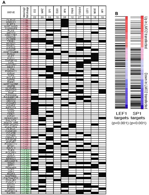 Figure 5. Interrogation of binding site motifs associated with genes regulated by stable LMO2 transfection. (A) Differentially expressed genes were evaluated for enrichment of specific binding site motifs in their promoter region by comparison to the C3 motif gene sets that are part of mSigDB, using Nextbio, as described in supplemental Methods. The occurrence of a motif for specific binding factor in the promoter of a particular gene is indicated by a black square. The mean log2 expression change of each gene between control and LMO2-transfected experiments is shown (red indicates up-regulation by LMO2 transfection). Genes that did not have a binding motif for the factors found to be significant are not shown. (B) All genes were ranked by their mean change in expression between control and LMO2-transfected lines. Gene set enrichment analysis was used to evaluate the distribution of genes with predicted SP1 and LEF1 binding sites in their promoter regions. In both cases, SP1 and LEF1 target genes were generally down-regulated by LMO2 transfection (both P < .001 by Kolmogorov-Smirnov test).