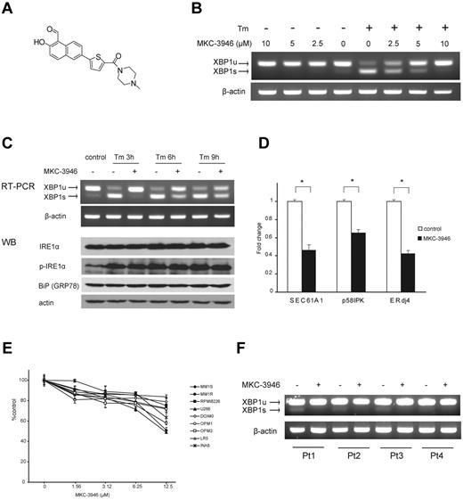 Figure 2. MKC-3946 is an IRE1α endoribonuclease inhibitor, which triggers modest cytotoxicity in MM cells. (A) Formal chemical structure of MKC-3946. (B) RPMI 8226 cells were treated with or without Tm (5 μg/mL) in combination with MKC-3946 (0-10μM) for 3 hours. Total RNA was extracted; XBP1 and β-actin mRNA were evaluated by RT-PCR. (C) RPMI 8226 cells were treated with Tm (5 μg/mL) in the presence or absence of MKC-3946 (10μM) for the indicated times. Total RNA was extracted, and XBP1 and β-actin mRNA were evaluated by RT-PCR. Whole-cell lysates were subjected to Western blotting using anti-IRE1α, phospho-IRE1α (p-IRE1α), BiP/GRP78, and actin Abs. (D) RPMI 8226 cells were cultured with or without MKC-3946 (10μM) for 8 hours. XBP1 target genes, such as SEC61A1, p58IPK, and ERdj4, were determined by real-time quantitative PCR. Data represent mean ± SD fold changes relative to β-actin mRNA in triplicate samples. *P < .001. (E) MM cell lines were cultured with MKC-3946 (0-12.5μM) for 48 hours. Cell viability was assessed by MTT assay of triplicate cultures, expressed as a percentage of untreated control. Data represent mean ± SD. (F) Primary MM cells isolated from patients (Pt) were cultured with or without MKC-3946 (10μM) for 6 hours. Total RNA was extracted and subjected to RT-PCR for analysis of XBP1 splicing.
