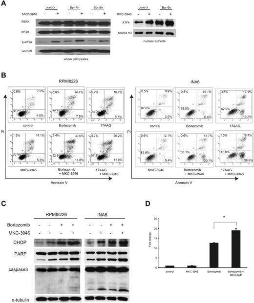Figure 4. MKC-3946 enhances ER stress-mediated apoptosis induced by bortezomib or 17-AAG. (A) RPMI 8226 cells were treated with bortezomib (Bor; 10nM) in the presence or absence of MKC-3946 (10μM) for the indicated times. Whole-cell lysates and nuclear extracts were subjected to Western blotting using PERK, eIF2α, phospho-eIF2α (p-eIF2α), and ATF4 Abs. GAPDH and histone H3 serve as loading controls. (B) RPMI 8226 cells were treated with bortezomib (2.5nM) or 17-AAG (500nM) and INA6 cells were treated with bortezomib (2.5nM) or 17-AAG (125nM), in each case in combination with MKC-3946 (10μM) for 24 hours. Apoptotic cells were analyzed by flow cytometry using annexin V/PI staining. (C) RPMI 8226 and INA6 cells were treated with bortezomib (2.5nM) in the presence or absence of MKC-3946 (10μM) for 24 hours. Whole-cell lysates were subjected to Western blotting using anti-CHOP, PARP, caspase-3, and α-tubulin Abs. (D) RPMI 8226 cells were treated with MKC-3946 (10μM), bortezomib (10nM), or the combination for 8 hours. CHOP mRNA was determined by real-time quantitative PCR. Data represent mean ± SD fold changes relative to β-actin mRNA in triplicate samples. *P < .001.