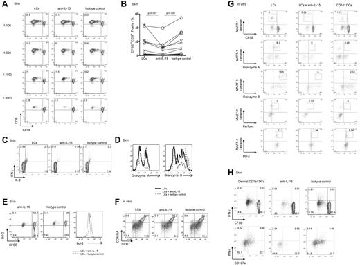 Figure 2. Blocking DC-derived IL-15 inhibits priming of effector CD8+ T cells. (A) CD8+ T cells were labeled with CFSE and primed for 7 days with decreasing numbers of allogeneic CD40L-activated skin LCs. Neutralizing IL-15 mAb (clone MAB 647; R&D Systems) and anti–IL-15Rα (clone AF247; R&D Systems) or isotype-matched control mAbs were used as indicated. Dot plots showing the proportion of cells that diluted CFSE (CFSElo) were assessed by flow cytometry. Data are shown from 1 of 11 independent experiments. (B) Graph shows the proportions of CD8+ T cells that were primed by allogeneic CD40L-activated LCs at a DC/T-cell ratio of 1:1000 or lower, in the presence of neutralizing mAb to IL-15 or matched isotype control. Graph shows data of 11 independent experiments; P < .001. (C) Purified naive CD8+ T cells were primed for 7 days by allogeneic CD40L-activated skin LCs. Neutralizing anti–IL-15 mAb or a control mAb was added as indicated. The cultured cells were activated for 24 hours with fresh LCs. Monensin was added during the last 6 hours, and intracellular IFN-γ and IL-2 production were measured by flow cytometry. Data are representative of 3 independent experiments. (D) CFSE-labeled naive CD8+ T cells were primed for 7 days by allogeneic CD40L-activated skin LCs in the presence of neutralizing anti–IL-15 mAb or an isotype-matched control. Histograms show intracellular expression of the effector molecules granzyme A and granzyme B by the viable CD3+CD8+CFSElo T cells in response to o/n restimulation with fresh LCs as analyzed by flow cytometry. Data are representative of 3 independent experiments. (E) CD40L-activated skin LCs were used to prime allogeneic naive CFSE-labeled T cells. Neutralizing IL-15 or an isotype-matched control mAb was added to the coculture. After 7 days, the dilution of CFSE and intracellular Bcl-2 expression by the cultured CD8+ T cells were assessed by flow cytometry. Histogram shows the expression of Bcl-2 by the viable CD3+CD8+CFSElo T cells. Data are representative of 3 independent experiments. (F) CD8+ T cells were cultured with autologous peptide-loaded sorted in vitro HLA-A*0201+ LCs with a neutralizing anti–IL-15 mAb or an isotype-matched control. CD40L and IL-7 were added on day 0, and IL-2 was added on day 3. After 10 days, cells were restimulated for 24 hours with fresh DCs, and effector memory populations were analyzed by flow cytometry that was based on the costaining with CCR7 and CD45RA. Data are representative of 3 independent experiments. (G) In vitro HLA-A*0201+ DC subsets were used to prime autologous naive CD8+ T cells. CD40L and IL-7 were added on day 0, and IL-2 was added on day 3 of the primary coculture. Neutralizing mAb to IL-15 was added to the coculture of naive CD8+ T cells and in vitro LCs. Cells were analyzed after 2 consecutive stimulations by flow cytometry for the dilution of CFSE dye, frequency of MART-1 tetramer–binding cells, and intracellular expression of granzymes, perforin, and Bcl-2 proteins. Data are representative of ≥ 3 independent experiments. (H) CFSE-labeled naive CD8+ T cells were primed with allogeneic CD40L-activated dermal CD1a+ DCs at the indicated 1:40 DC/T-cell ratio and with anti–IL-15 or an isotype-matched control mAb. After 9 days, cells were harvested and restimulated for 6 hours with fresh autologous LCs in the presence of monensin and anti-CD28/CD49d to assess IFN-γ production and CD107a surface mobilization. (Bottom panel) Cells are gated on viable CD3+CD8+CFSElo T cells. Data are representative of 4 independent experiments.