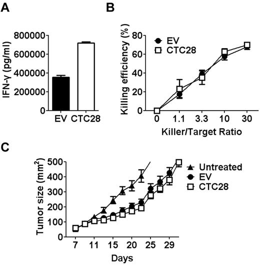 Figure 2. Limited effects of CTLA4-CD28 gene modification on Pmel-1 T cells in vitro and in vivo. Empty vector–encoding (EV) or CTLA4-CD28 chimera–encoding (CTC28) retrovirus was transduced into activated Pmel-1 T cells with antigenic peptide, human gp10025-33 (KVPRNQDWL, 1μM). After 2 days of resting in the absence of antigen, GFP-positive T cells were purified by cell sorting. (A) GFP-positive T cells were stimulated with human gp10025-33 (1μM) in the presence of irradiated splenocytes for 48 hours, and the IFN-γ in the culture supernatant was measured by ELISA. (B) Forty-eight hour–stimulated GFP-positive T cells were cocultured with B16 melanoma cells for 24 hours. Cytotoxicity of the various ratios of T cells to B16 cells (killer/target ratio) were determined by P-JAM test. (C) GFP-positive T cells were expanded in the presence of IL-15 (10 ng/mL) and paramagnetic beads coated with anti-CD3 plus anti-CD28 for 7 days before adoptive transfer to the mice. B6 mice subcutaneously injected with B16 cells were lymphodepleted by total body irradiation (4 Gy) 7 days later, and then they were injected with expanded T cells (2 × 106) intravenously. Thereafter, recombinant human IL-2 (3 × 105 IU/head) was administered intraperitoneally twice a day for 3 days. Mean tumor size of at least 5 mice per group was recorded. Results are representative of 3 independent experiments.