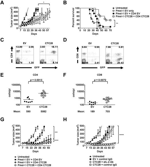 Figure 7. CTLA4-CD28 chimera gene modification of both CD4 and CD8 T cells potentiates the efficacy of adoptive T-cell therapy in a syngenic melanoma model. Seven days after B6 mice were subcutaneously injected with B16 melanoma cells, the mice were lymphodepleted by total body irradiation (4 Gy). Then, the mice were either left untreated or injected intravenously with the retrovirus-transduced CD4 and CD8 T cells. Regulatory T cell–depleted polyclonal CD4 T cells (CD4+CD25−) purified from normal B6 mice and Pmel-1 CD8 T cells were transduced with the retroviruses and rested for 48 hours before the transfer. Equal numbers of the transduced Pmel-1 T cells and CD4 T cells (2 × 106) were used for the adoptive transfer. (A) Mean tumor size of 5 mice per group was recorded. Results are representative of at least 2 separate experiments (*P = .0105; Wilcoxon matched pairs test). (B) Survival data of the mice from all the experiments are summarized (n = 10 for Pmel-1 EV only; n = 15 for all other groups; **P = .002; log-rank test). (C-F) Four weeks after the adoptive transfer, peripheral blood leukocytes were counted and analyzed by flow cytometry. The retrovirus-transduced CD4 or Pmel-1 T cells were identified as CD4+GFP+ or CD8+GFP+ cells. The representative flow cytometry profiles for CD4 T cells (C) and Pmel-1 T cells (D) are displayed. The absolute cell numbers of the transduced CD4 (E) and Pmel-1 T cells (F) were calculated from the 2 independent experiments. P values, Student t test. (G) B16 tumor-bearing mice generated as described in panel A were lymphodepleted and injected with various combinations of the retrovirus-transduced polyclonal CD4 and Pmel-1 T cells at 1:1 ratio (2 × 106). Mean tumor size of 5 mice per group was recorded. (H) B16 tumor-bearing mice generated as described in panel A were lymphodepleted and injected with EV-transduced polyclonal CD4 and EV-transduced Pmel-1 T cells or CTC28-transduced polyclonal CD4 and CTC28-transduced Pmel-1 T cells at 1:1 ratio (2 × 106). Anti–IL-2 antibody or control rat IgG (100 μg/head) was injected intravenously every 3 days beginning from the day of the cell transfer. Mean tumor size of 5 mice per group was recorded. Results are representative of 2 independent experiments (G-H; ***P = .0001; ****P = .0006; *****P = .0021; Wilcoxon matched pairs test).