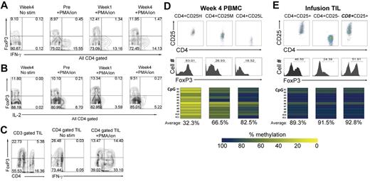 Figure 3. Infused T cells lack characteristic features of CD4+ Tregs. (A-B) Intracellular cytokine expression was examined on CD4-gated PBMCs after 6 hours of stimulation with P/I. IFN-γ and IL-2 production were evaluated on pretreatment, week-1, and week-4 samples of PBMCs. Numbers indicate the percentage of cells in each quadrant. Representative data from 1 of 15 patient samples analyzed are shown. (C) Intracellular IFN-γ expression was examined after a 6-hour stimulation of infusion TILs with P/I. Representative data from 1 of 15 patient samples analyzed are shown. (D) DNA methylation assays of week-4 PBMC sample from 1 patient in the CD8+ young TIL trial. Cells were sorted into CD4+CD25H (high), CD4+CD25M (medium), and CD4+CD25L (low), and the frequency of FoxP3+ cells in each population is shown. The methylation status of 11 CpG dinucleotides within intron 1 of the FOXP3 gene shown previously to be undermethylated in CD4+ Tregs were analyzed. The percentages of the 11 CpGs that were methylated, evaluated as described in “Methods,” are shown in heat maps, and the average percentages of the 11 CpGs that were methylated re indicated below the heat maps. (E) DNA methylation analysis of a sample of infusion TILs. DNA isolated from CD4+CD25+, CD4+CD25−, and CD8+CD25+ T cells that were sorted using magnetic beads as described in “Methods” was subjected to methylation analysis.