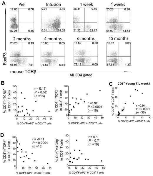 Figure 7. Evidence for lack of conversion of CD4+ T cells in TILs into CD4+ Tregs after adoptive transfer. (A) Cell-surface expression of the mouse TCRβ chain was analyzed on PMBCs from a representative patient (1 week to 15 months) from the gp100 TCR trial. Numbers indicate the percentages in each quadrant. The week-1 figure is a representative sample of 1 of 16 week-1 samples analyzed. Nonparametric correlation between the percentages of Tregs and persistent (mTCRβ+) or nonpersistent (mTCRβ−) CD4+ T cells from week-1 PBMCs in the gp100 trial (B), the percentages of Treg and CD4+ T cells from week-1 PBMCs in the CD8+ young TIL trial (C), and the percentages of Treg and persistent or nonpersistent CD8+ T cells from week-1 PBMCs in the gp100 TCR trial (D). Spearman r and P values are shown.