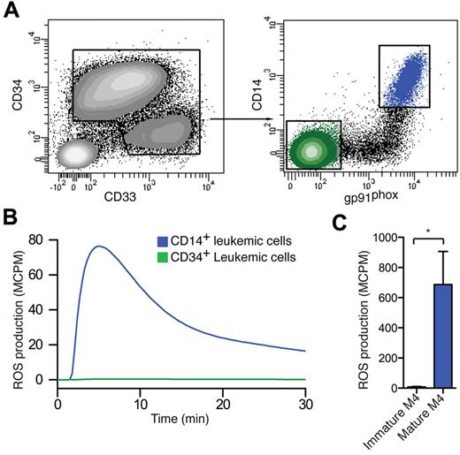 Figure 3. Sorted CD14+ gp91phox + mature malignant from FAB M4/M5 AML produce ROS. (A) A representative set of FACS plots of a FAB-M4 AML patient (patient 6) with 2 distinct myeloid populations, one immature blast population CD34+CD33−CD14− (green) and one monocyte-like CD34−CD33+CD14+ (blue) population, is shown. (B,C) FACS-sorted mature CD14+ leukemic cells (blue) and immature CD34+ leukemic cells (green) were stimulated with PMA and assayed for ROS production. Panel B shows the kinetics of a representative experiment, and panel C shows total ROS production (n = 3, patients 5-7).