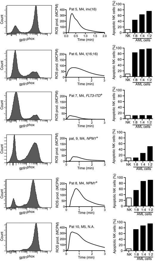 Figure 4. Sorted mature FAB-M4/M5 AML cells trigger apoptosis in NK cells. Each row shows data obtained from individual patients with FAB-M4 or FAB-M5 AML as indicated. Histograms show the expression of gp91phox in myeloid cells. Center panels show fMLF-induced ROS production by the corresponding sorted gp91phox-positive population. Right panels show NK-cell apoptosis after overnight incubation with mature leukemic cells at indicated ratios of AML cells to NK cells.