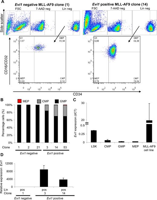 Figure 5. Enrichment of CMPs in Evi1pos clonal MLL-AF9–transformed BM cell cultures. (A) Example of FACS-sorting strategy to select for CMP, GMP, and MEP derived from cultured Evi1pos and Evi1neg MLL-AF9 clones. (B) Percentages of CMP, GMP, and MEP relative to the total number of progenitor cells are calculated for each clone. (C) Evi1 expression in LSK, CMP, GMP, and MEP subpopulations of normal mononucleated mBM cells. The MLL-AF9 cell line 4166 served as positive control for Evi1 expression. (D) Evi1 mRNA expression in lineage-positive subfractions of MLL-AF9 clones. The expression of Evi1 was calculated relative to the lineage-negative fraction of MLL-AF9 clone #1. Evi1 relative expression was normalized using Hprt as a reference gene. For the last 2 panels, the average of 3 experiments with its SD is shown.