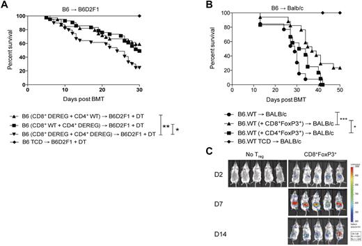 Figure 5. CD8+FoxP3+ Treg attenuate GVHD mortality after BMT. (A) Recipient B6D2F1 mice were lethally irradiated and 24 hours later transplanted with BM from B6.FoxP3-GFP mice and T cells from both B6.FoxP3-GFP and DEREG mice in the following combinations: (1) WT CD4+ T cells and DEREG CD8+ T cells, (2) DEREG CD4+ T cells and WT CD8+ T cells, or (3) DEREG CD4+ T cells and DEREG CD8+ T cells. *P < .05, B6 (CD8+ WT + CD4+ DEREG) versus B6 (CD8+ DEREG + CD4+ DEREG). **P < .01, B6 (CD8+ DEREG + CD4+ WT) versus B6 (CD8+ DEREG + CD4+ DEREG). Survival data are shown and are combined from 4 duplicate experiments (CD4+FoxP3+ deplete, n = 42; CD8+FoxP3+ deplete, n = 39; CD4+FoxP3+ and CD8+FoxP3+ deplete, n = 39; TCD no depletion, n = 20). (B) BALB/c recipients were lethally irradiated and transplanted with BM and T cells from B6.FoxP3-GFP donors 24 hours later. At day 7 after transplantation, LN and spleens were removed, and CD4+Foxp3+ and CD8+Foxp3+ cells sorted on B6.FoxP3-GFP and CD4 or CD8. Sorted FoxP3+ populations (3.5 × 104) were transplanted with BM from B6.WT donors into lethally irradiated BALB/c recipients. Whole CD3+ T cells (7.5 × 105) were injected 2 days later. *P < .05, BALB/c (+ CD8+FoxP3+) versus BALB/c (+ CD4+FoxP3+). ***P < .001, BALB/c versus BALB/c (+ CD8+FoxP3+). Survival data are shown and are combined from 2 duplicate experiments (no FoxP3+, n = 13; CD8+FoxP3+, n = 17; CD4+FoxP3+, n = 12; no FoxP3+ TCD, n = 6). (C) Recipients were transplanted as in panel B; however, CD8+Foxp3+ were sorted from FoxP3.LuciDTR-4 donors (luciferase, GFP, and the DT receptor-driven of the FoxP3 promoter, labeled as B6.FoxP3-luc+). Recipients were imaged at days 2, 7, and 14 after transfer, with images shown contrasting recipients that did or did not receive Treg.