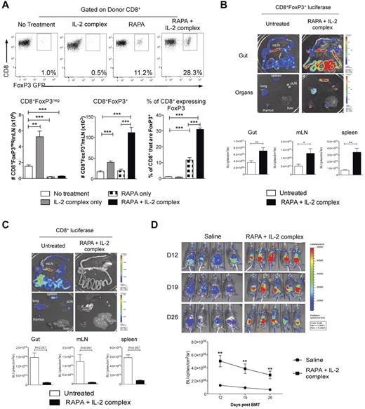 Figure 6. CD8+FoxP3+ Treg are expanded after administration of RAPA and IL-2 Ab complexes after BMT. (A) Recipient B6D2F1 mice were lethally irradiated and 24 hours later transplanted with BM and T cells from B6.FoxP3-GFP mice. Recipients received RAPA daily (1.5 mg/kg intraperitoneally) and/or IL-2 Ab complexes at day 0 and day 4 after transplantation in the combinations shown. At day 7, mLN were removed and analyzed for CD8+FoxP3+ Treg conversion. Representative plots are shown for graphs in the lower panel displaying combined data from 2 duplicate experiments; n = 8 per group. **P < .01. ***P < .005. B6D2F1 recipients were lethally irradiated and received BM and T cells from B6.WT donors combined with sorted CD8+ T cells from either (B) FoxP3.LuciDTR-4 donors (luciferase, GFP, and the DT receptor-driven of the FoxP3 promoter, labeled as B6.FoxP3-luc+; n = 8 per group) or (C) B6.β-actin-luc+ (n = 3 or 4 per group) mice 24 hours later. RAPA and IL-2 Ab complex was administered as in panel A. At day 7, recipients were killed 5 minutes after luciferin injection, and spleen, inguinal LN, liver, thymus, lung, and gut removed and imaged individually. Representative images from 2 duplicate experiments are shown with bioluminescence imaging quantitated and shown as mean ± SEM. *P < .05. **P < .01. (D) Recipients were transplanted as in panel B with only the CD8+ component from B6.FoxP3-luc+ donors and imaged weekly from day 12. Images are shown with graph displaying mean ± SEM. **P < .01, saline versus RAPA + IL-2 Ab complexes at each time point.