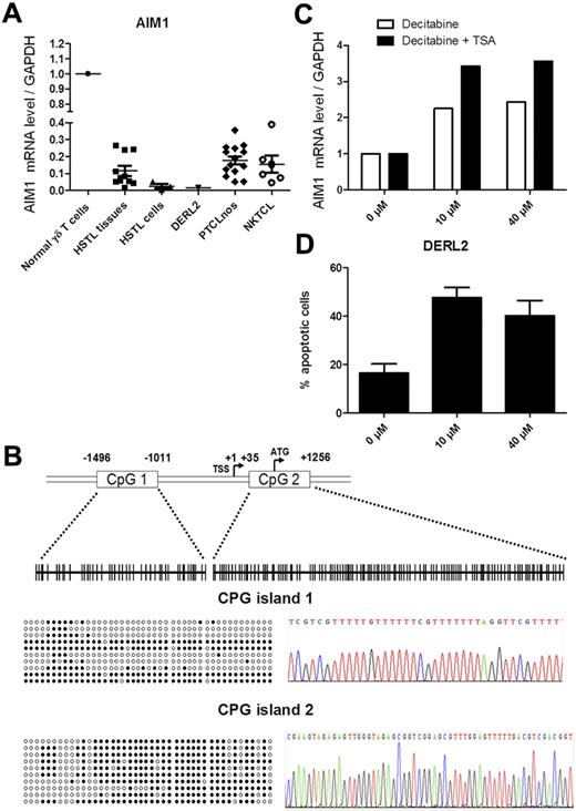 Figure 5. AIM1 is methylated in the DERL2 HSTL cell line. (A) Real-time PCR quantification of AIM1 was evaluated innormal γδ T cells, HSTL tissues, HSTL cells, DERL2 cells, PTCL-NOS, and NKTCL. The results are expressed as the relative fold change compared with normal γδ T cells sorted from the spleen. Each sample was normalized to GAPDH. (B) Localization of CpG islands (CpG1 and CpG2) in the AIM1 promoter and schematic representation of the sequenced genomic fragments including all CpG sites (vertical bars). Approximate spacing of the CpG dinucleotides is shown for the 44 CpGs of island 1 and the 119 CpGs of island 2 (top). Ten representative clones from DERL2 cells are presented, only 43 CpGs of island 2 were represented because of unmethylation of the first 76 CpGs (left). Example of methylated cytosines after bisulfite-converted genomic DNA treatment (right). (C) Real-time PCR quantification of AIM1 was evaluated in DERL2 cells after 96 hours of 10 or 40μM decitabine treatment (every 24 hours) with or without 500nM TSA treatment for the last 24 hours. (D) DERL2 cells were cultured with or without 10 or 40μM decitabine for 96 hours (decitabine was added every 24 hours). Cellular apoptosis was analyzed using 7AAD staining.