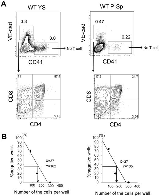 Figure 2. VE-cad+CD41− hemogenic endothelial cells produce T cells in both YS and P-Sp with similar frequency. (A) VE-cad+CD41− or VE-cad−CD41+ cells were sorted from E9.5 WT YS and P-Sp and were plated on OP9-DL1 stromal cells in a limited dilution manner (75-300 cells/well). After 7-10 days, each well containing cobblestone-forming area and lymphocyte-like cells was analyzed by flow cytometry. (B) CD4+CD8+DP cells were obtained from VE-cad+CD41− cell population, not from VE-cad−CD41+ cells at a frequency of 1 of 162 YS VE-cad+ cells (left panel) and 1 of 165 P-Sp VE-cad+ cells (right panel), respectively.