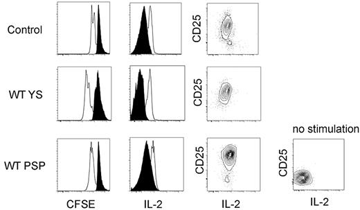 Figure 5. YS- and P-Sp–derived T cells engrafted in the recipient spleen are functional. YS- and P-Sp–derived T cells engrafted in the recipient spleen are proliferative on CD3 stimulation and secrete IL-2. Spleen cells from recipient mice 2 weeks after transplantation were plated in RPMI medium with anti-CD3 and anti-CD28 Abs. Donor cell proliferation was analyzed with the use of CFSE staining (left panel: CD45.2+CD4+ gated cells are depicted; CD45.2+CD8+ cells showed a similar proliferation pattern). Nontransplanted BL/6 spleen cells were used as a control. IL-2 secretion was confirmed by intracellular staining (middle panel). CD25 expression was up-regulated in all samples (right panel). Nonstimulated spleen cells were used as a negative control. Filled histogram is at 0 hour, and solid line is at 48 hours after stimulation. YS- and P-Sp–derived spleen cells (n = 5).