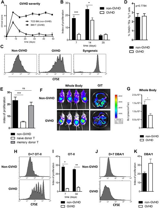 Figure 1. Immune responses are suppressed in the presence of GVHD. (A) A total of 107 B6.WT TCD BM (non-GVHD) + 0.2 × 106 CD3+ B6.WT T cells (GVHD) were transferred into lethally irradiated (900 cGy, day 0) BALB/c recipients on day 0. GVHD clinical scores are shown. (B) TEa Tg T cells were sorted, CFSE labeled, and injected at days 7, 14, and 35 after transplantation. CFSE dilution in spleen was analyzed 3 days later, and proliferation indices are shown. Data are representative of 3 replicate experiments, with minimum n = 4/group/time point. *P = .05 to .01. ***P < .001. (C) Representative histograms of CFSE dilution in the TEa Tg T-cell population (day 10, after day 7 injection). Syngeneic control histograms are included (from BALB/c → BALB/c transplants). (D) Percentage of dead TEa Tg T cells on day 10 was measured with 7-aminoactinomycin D. Data are representative of 4 replicate experiments: n = 16 for the non-GVHD arm; n = 19 for the GVHD arm. (E) Naive and memory CD3+ donor T cells (sort purified on the basis of CD62L and Thy1 expression) were transferred on day 0. TEa T cells were injected on day 7 to measure antigen presentation. Data are representative of 2 replicate experiments: n = 7 for the TCD group; n = 9 for each naive and memory T-cell arm. ***P < .001. ns indicates not significant. (F) Grafts were performed as described, and luciferase-expressing TEa Tg T cells were transferred on day 7 after transplantation. Five days later, animals were injected with luciferin, and images were acquired. (G) Bioluminescent data are combined from 2 replicate experiments: n = 7 to 9/group. *P = .05 to .01. (H-I) 107 B6.CD11c.OVA BM (non-GVHD) + 0.2 × 106 CD3+ B6.WT T cells (GVHD) were transferred into BALB/c recipients. On day 7 and 34 after transplantation, CFSE-labeled CD4+ OT-II T cells were transferred and proliferation was assessed 3 days later: day 7, P = .0286; n = 4/group; day 34, P = .0079; n = 5/group. Representative CFSE dilution histograms are shown in panel H. *P = .05 to .01. **P = .01 to .001. (J-K) B6.pfp−/− grafts (107 TCD B6.pfp−/− BM ± 0.2 × 106 B6.pfp−/−CD3+ T cells) were transferred into BALB/c recipients. On day 7 after transplantation, third-party DBA/1 CD4+ T cells were CFSE labeled, adoptively transferred, and analyzed 3 days later: n = 4/group. Representative CFSE dilution histograms are shown in panel J.