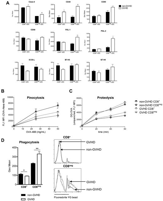 Figure 5. CD8− DCs express higher levels of costimulatory and coinhibitory molecules in GVHD. (A) cDCs were stained for costimulatory/coinhibitory molecules and analyzed by flow cytometry. Data are representative of 2 replicate experiments; n = 5/group in each. *P = .05 to .01. **P = .01 to .001. (B) DCs were sort-purified on day 10 after transplantation and incubated with OVA-AlexaFluor-488. Fluorescence data reflect soluble antigen uptake. (C) Sorted DCs (day 10) were incubated for 1 hour with DQ-OVA and uptake and processing assessed by level of fluorescence after 20, 40, and 60 minutes. (D) Fluorescent beads were injected intravenously at day 10 after transplantation. Geometric mean fluorescence intensity is shown; n = 5/group. *P = .05 to .01. **P = .01 to .001.