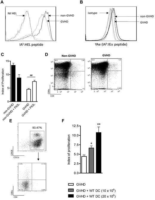Figure 6. The assembly of peptide/MHC complexes within the cDC population is impaired during GVHD. (A) C3H/Hej grafts were transferred into B6 recipients as described in “Methods.” On day 10 after transplantation, DCs were sort-purified and pulsed with whole hen-egg lysosyme protein, and IAk-HEL levels were measured. Data are representative of 3 replicate experiments. Black solid line indicates non-GVHD; gray solid line, GVHD; and dotted lines, respective isotype controls. (B) Day 10 post-BMT DCs (B6 → BALB/c model) were assessed for expression of the YAe complex. Data are representative of 2 replicate experiments. Black solid line indicates non-GVHD; gray solid line, GVHD; and dotted lines, respective isotype controls. (C) BALB/c mice were transplanted and treated with Flt3L after transplantation. Data are combined from 2 replicate experiments, with n = 4 to 8/group shown. ##P = .01 to .001. (D) DC subset profiles of Flt3L-treated animals on day 10. (E) B6 DCs were generated in vitro as described in “Methods” and had the phenotype shown. (F) These cells were subsequently injected (day 6), followed by TEa T cells (day 7), as described. n = 9, 5, or 4/group. Data are representative of 2 replicate experiments in which either 10 or 20 × 106 BM DCs were transferred. *P = .05 to .01. **P = .01 to .001.