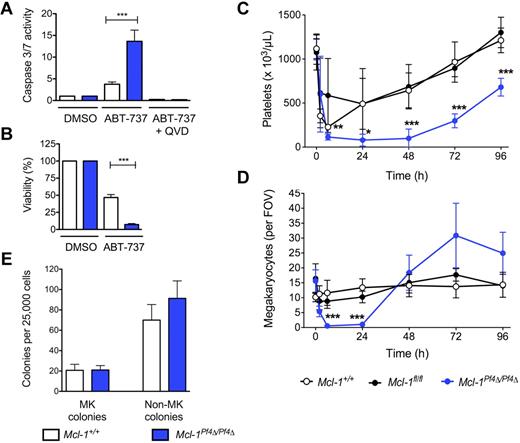 Figure 2. ABT-737 induces cell death in Mcl-1–deficient megakaryocytes. (A) Caspase 3/7 activity in fetal liver–derived megakaryocytes treated with ABT-737. Fetal livers were cultured in SFM plus TPO for 3 days. Large megakaryocytes were purified from a BSA gradient and reseeded. Caspase activity was measured 5 hours after treatment with ABT-737 (5μM) or vehicle (DMSO) with or without the caspase inhibitor, QVD, using the Promega Caspase-Glo assay. Data represent fold increase compared with control ± SEM, n = 2 technical replicates for each genotype. Representative of 4-5 independent experiments. (B) Mitochondrial function in fetal liver–derived megakaryocytes treated with ABT-737. ATP levels in fetal liver–derived megakaryocytes were measured 24 hours after reseeding and treating with ABT-737 (5μM) or vehicle (DMSO) using the CellTiter-Glo assay system. DMSO control was set as 100% for each genotype. Data represents mean ± SEM, n = 4-9 independent experiments. ***P < .0001. (C) Peripheral blood platelet counts in Mcl-1+/+, Mcl-1fl/fl, and Mcl-1Pf4Δ/Pf4Δ mice treated with a single IP injection of ABT-737 (75 mg/kg). Cohorts of mice were bled at indicated time points to determine platelet counts; n = 3-6 mice per genotype at 2 hours after treatment, n = 3-8 at 6 hours, n = 5-9 at 24 hours and n = 6-7 at 48 hours. Data represent mean ± SD. (D) Megakaryocyte counts in Mcl-1+/+, Mcl-1fl/fl, and Mcl-1Pf4Δ/Pf4Δ mice treated with a single IP injection of ABT-737 (75 mg/kg). Data represent mean number of BM megakaryocytes per field of view (FOV; ×200) from at least 5 fields per individual mouse; n = 3-6 mice per genotype at each time point. Data represent mean ± SD. (E) Hematopoietic progenitor cell numbers in adult mice 2.5 hours after treatment with ABT-737. Twenty-five thousand BM cells were cultured with stem cell factor, IL-3, and erythropoietin in semisolid agar for 7 days. Non-megakaryocyte (MK) colonies represent the total of blast, granulocyte, mixed granulocyte/macrophage, macrophage, and eosinophil colonies. Data represent ± SEM; n = 3, Mcl-1+/+; n = 3, Mcl-1Pf4Δ/Pf4Δ.