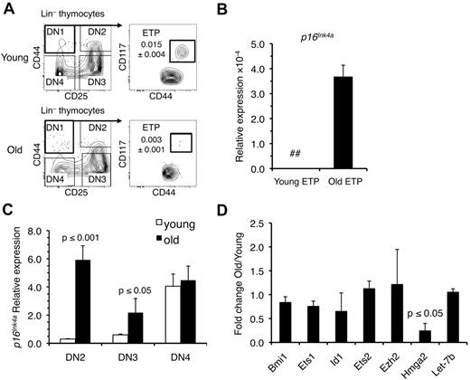 Figure 1. Ink4a, but not Arf, is up-regulated in old ETPs. (A) Representative immunostaining profiles used to purify ETPs and DN2, DN3, and DN4 thymocytes from young and old mice. The frequency of ETPs in young and old thymi is indicated. (B) Expression of Ink4a relative to gapdh in ETPs from young (4-6 weeks) and old (18-20 months) mice. Values are reported as the mean ratio of expression in old versus young cells. The mean ± SEM based on 3 independent experiments is shown. (C) Changes in expression of Ink4a relative to gapdh in the indicated DN populations. Values are reported as the mean ratio of expression in old versus young cells. The mean ± SEM based on 3 independent experiments is shown. (D) Expression of Bmi-1, Ets-1, Id-1, Ets-2, Ezh2, and Hmga2 relative to gapdh and Let-7b relative to Sno202 in ETPs. Values are reported as the mean ratio of expression in old versus young cells. The mean ± SEM based on 3 independent experiments is shown. The P values are based on comparison of relative levels between old and young cells. ## indicates not detectable.
