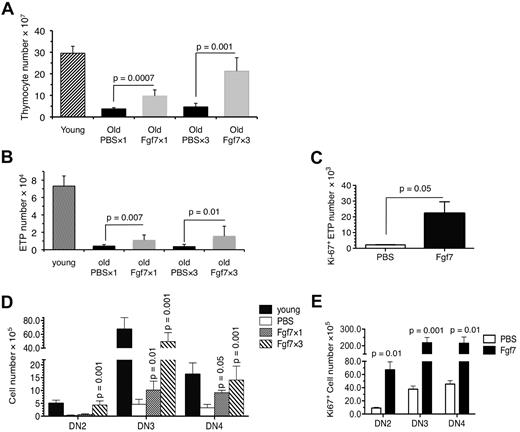 Figure 3. The number and proliferation of ETPs and DN thymocytes in the involuted thymus is increased after Fgf7 treatment. (A) Mean ± SD number of cells in the thymi of 15- to 18-month-old mice 15 days after 1 round (Fgf7 × 1, n = 8 mice) or 3 rounds (Fgf7 × 3, n = 6 mice) of Fgf7 or PBS treatment. The average number of total cells in the thymi of young (4-6 weeks) mice is shown for comparison. (B) Average ± SD number of ETPs in the thymi of the mice shown in panel A. (C) Frequency of Ki-67–expressing ETPs in the thymi of 15- to 18-month-old Fgf7-treated mice described in panel A. (D) Mean ± SD number of DN2, DN3, and DN4 cells in the thymi of the mice described in panel A. (E) Frequency of Ki-67–expressing DN2, DN3, and DN4 cells in the thymi of mice described in panel A. Mean ± SD values presented above are based on data pooled from 4 independent experiments. The P values are based on comparison between cells isolated from Fgf7- and PBS-treated old mice.