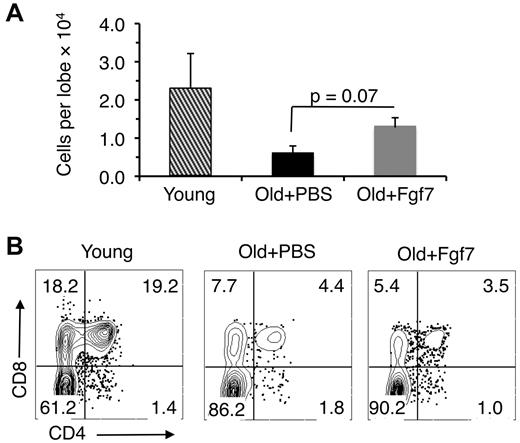 Figure 5. Fgf7 does not correct age-related declines in differentiation. (A) Cell recovery from fetal thymic organ cultures 2 weeks after seeding with ETPs isolated from 15- to 18-month-old Ffg7-treated mice. Cells were harvested from thymic lobes 15 days after treatment with 1 round of Fgf7. Average ± SD total number of cells shown is pooled from 3 independent experiments. (B) Representative FACS plots from 1 of the experiments described in panel A showing CD4 and CD8 expression by cells harvested from the fetal thymic lobes.